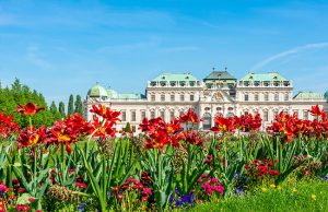 Palatul Belvedere Viena 